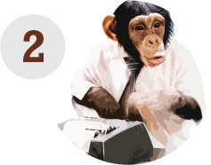 Monkey visit & confirm quote